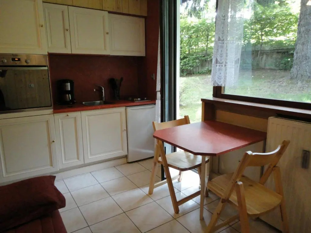 Appartement Chamonix-Mont-Blanc, 1 pièce, 2 personnes - FR-1-517-3