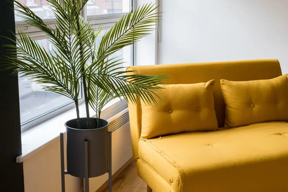 The Hoxton Apartments