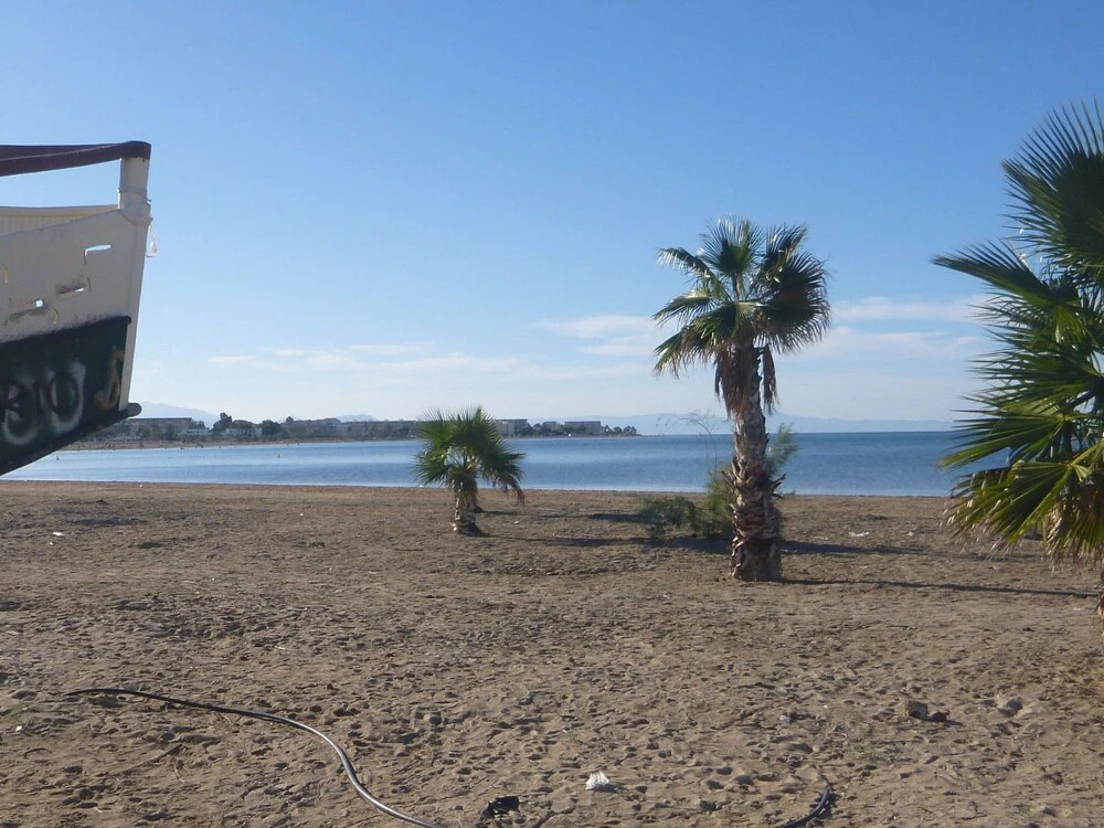Tranquil Vista in Pedreguer