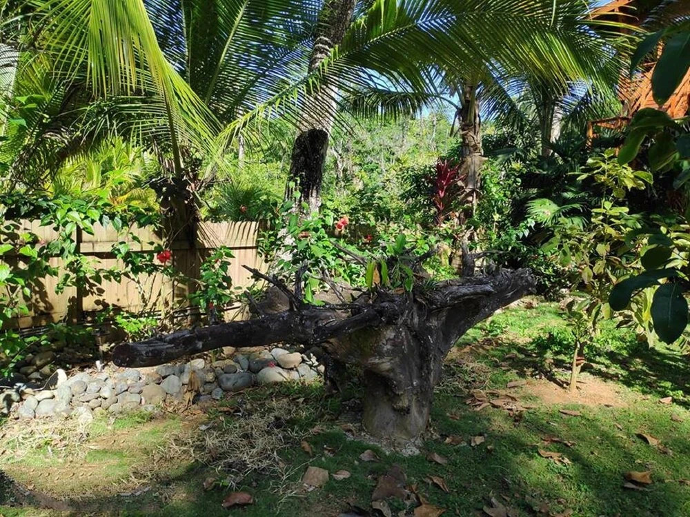 TropicalArts Resort&Studios