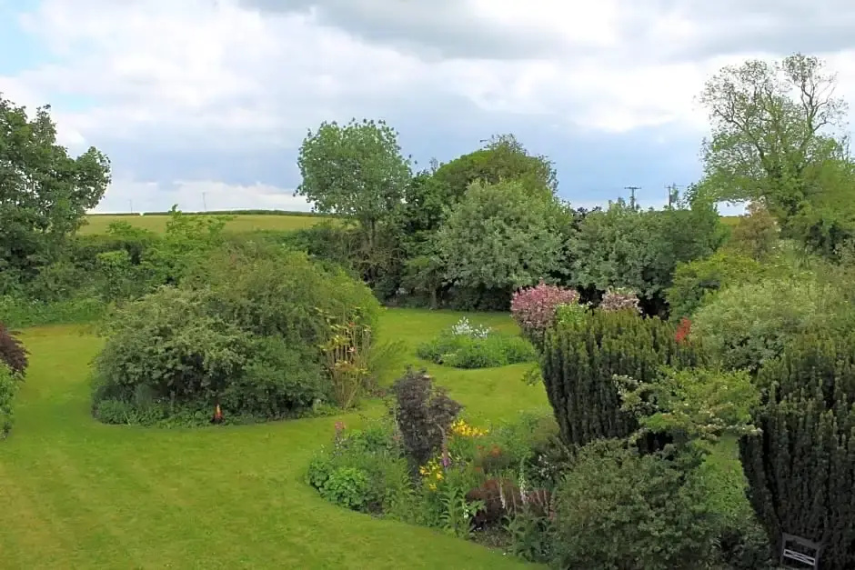 The Vine B & B
