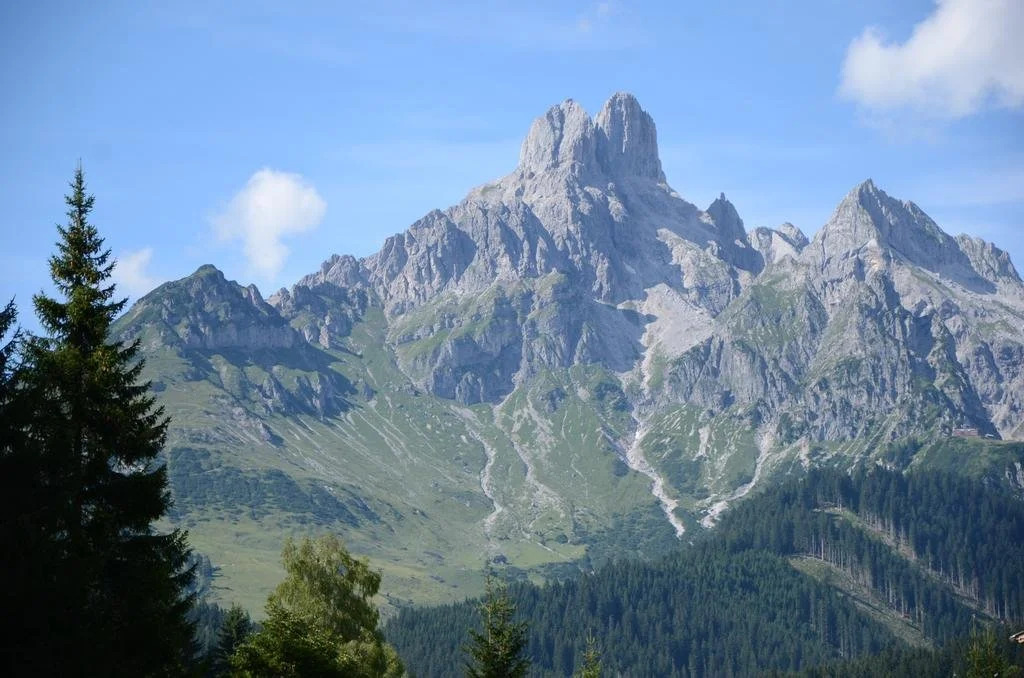 Haus Dachstein Schnitzer