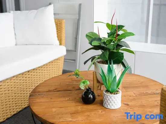 Seaside CBD/Luxury 3 bedrooms/6 people/2 parking spaces/Unbeatable view/Convenient transportation
