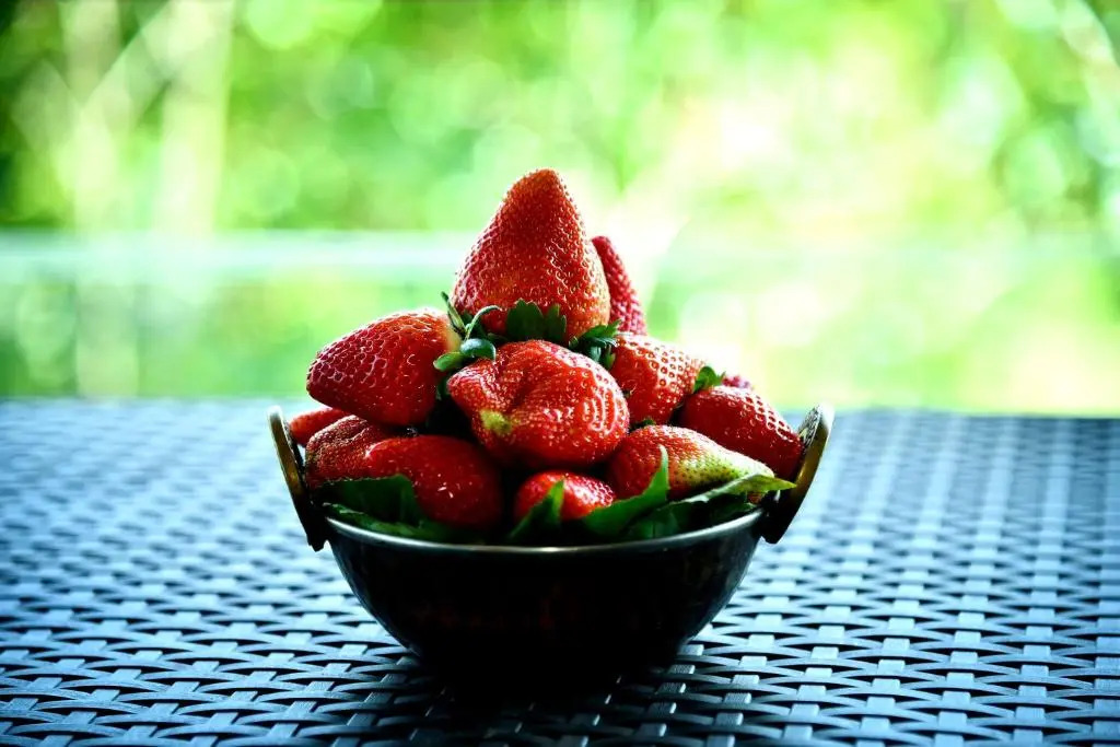MERIDIAN VILLA - Besides Valley View with Swimming pool & Strawberry Farms