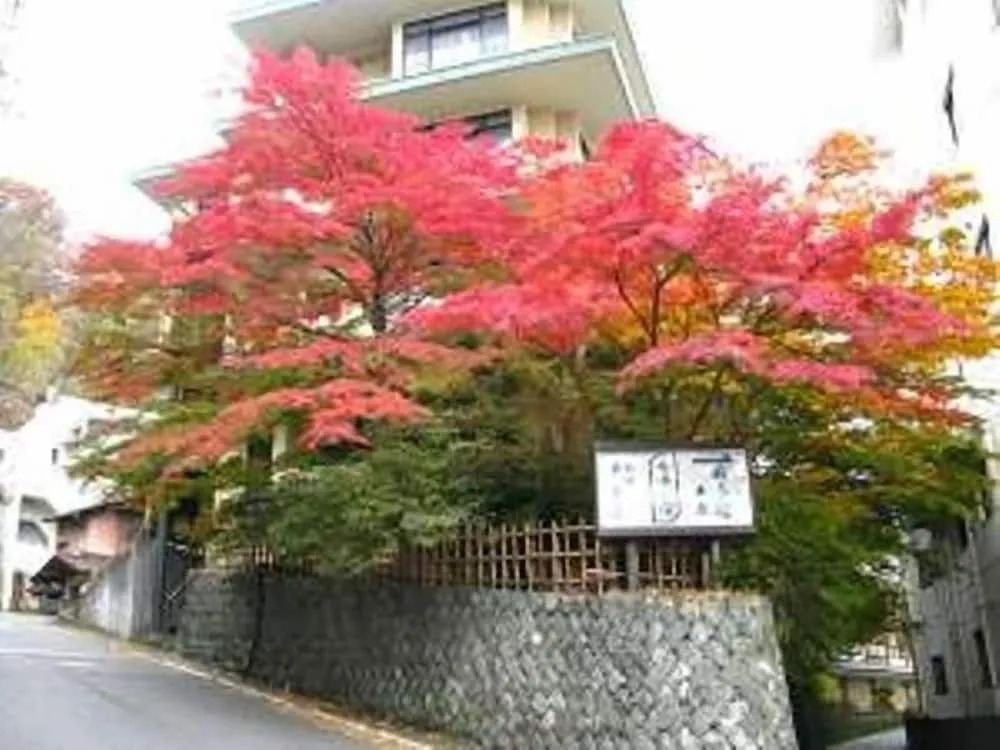 Yokotekan