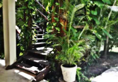 Hostel Meson de Tulum
