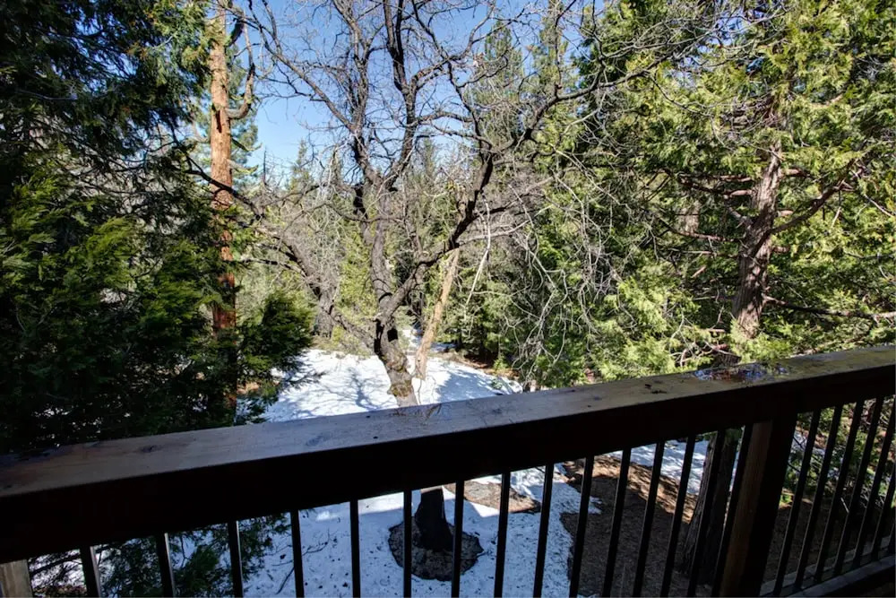 Yosemite Delight-b208