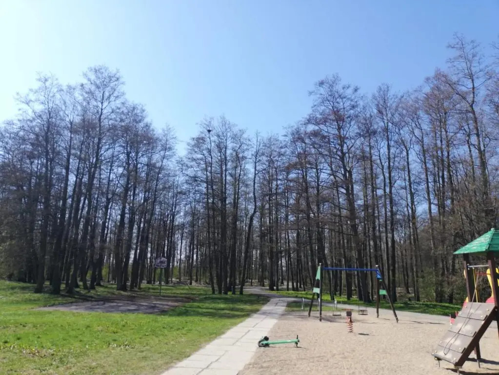 Sunny Beech Side Klaipedas 84