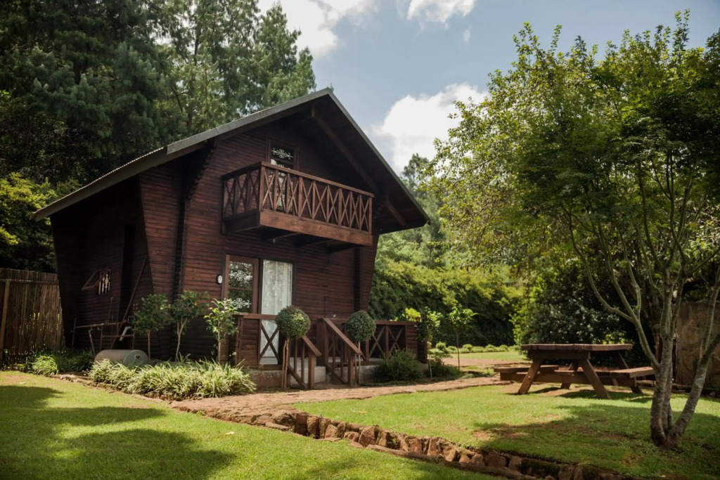 Viewpoint - Cabin 5