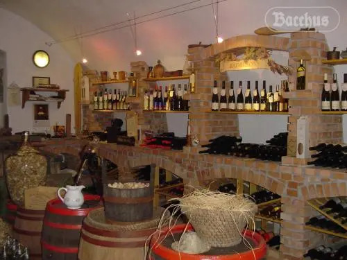 Bacchus Apartman - Borbarlang, Badacsony