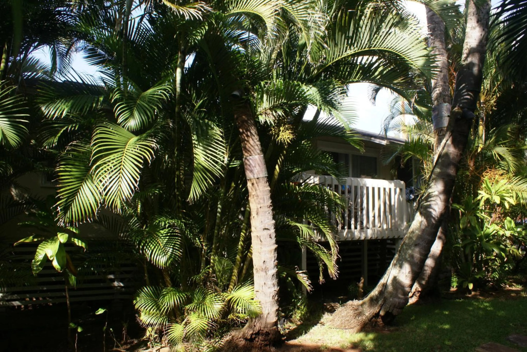 Waimea Bay Cottage