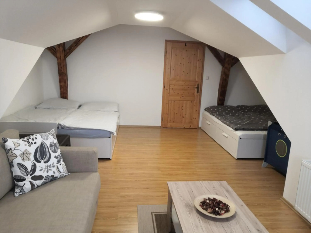Apartment Lipno Šumava pro 8 hostů