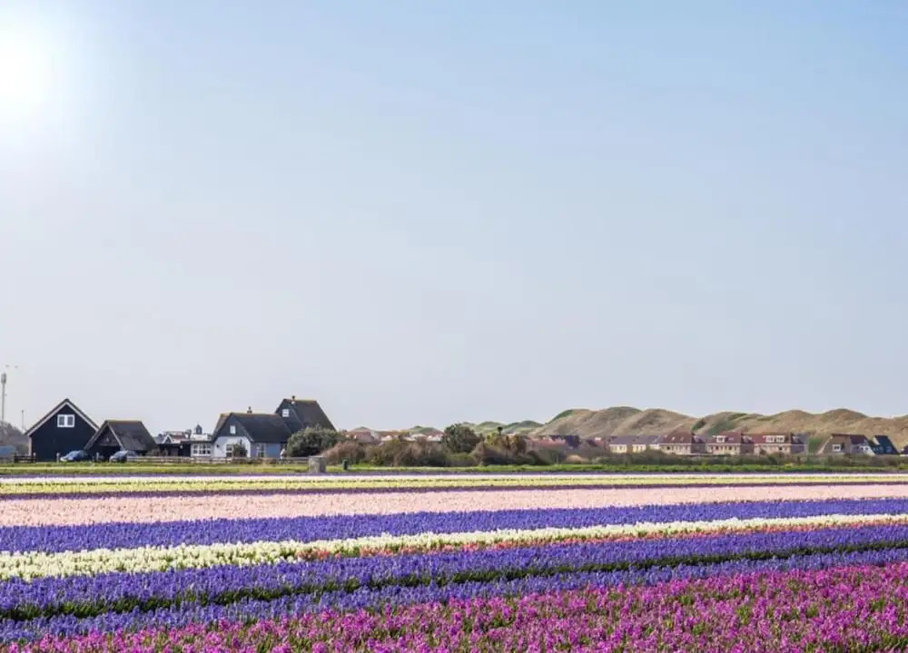 Villa near Sint Maartenszee Beach with Jacuzzi