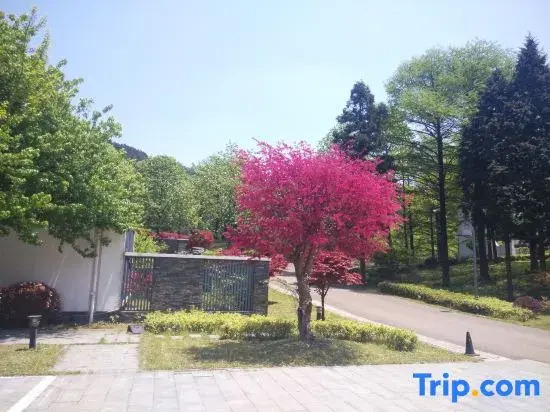Yangtianhu Villa Ningbo