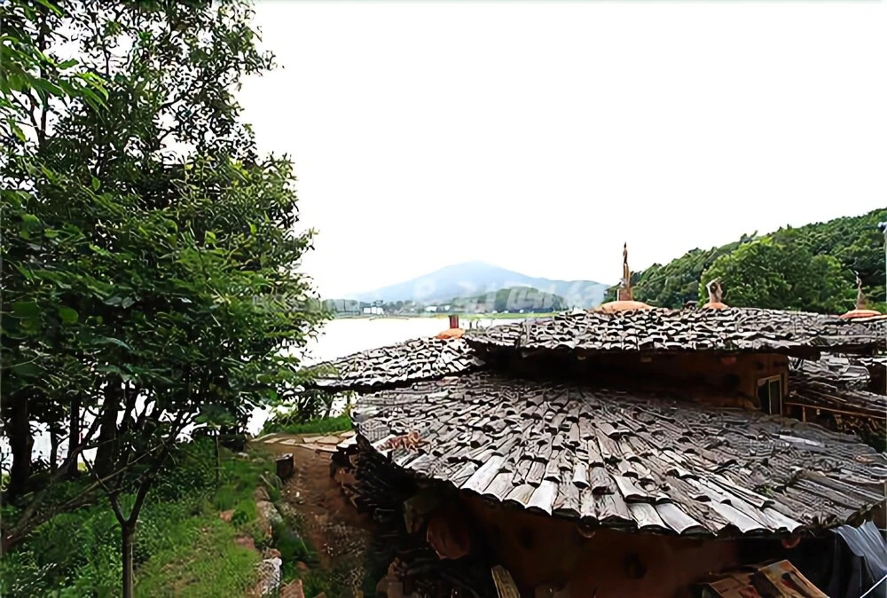 Ganghwadoindigo Frog Pension