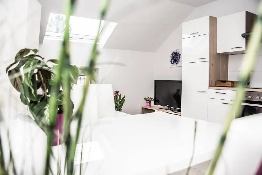 Apartment PourinGraz für Kunst- und Tennisliebhaber