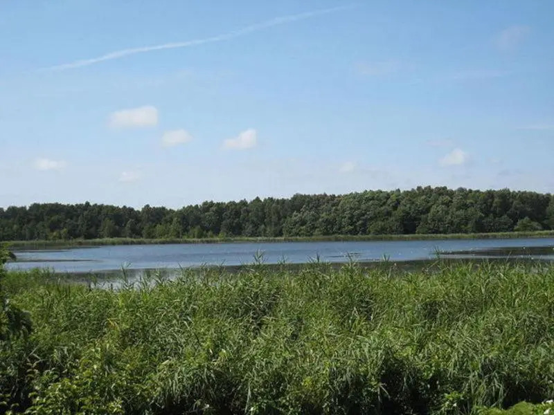 Ferienhaus Bansin USE 2671