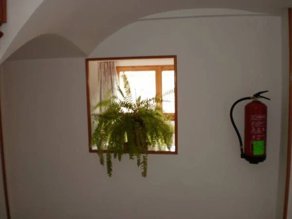 Apartamentos Vicenta