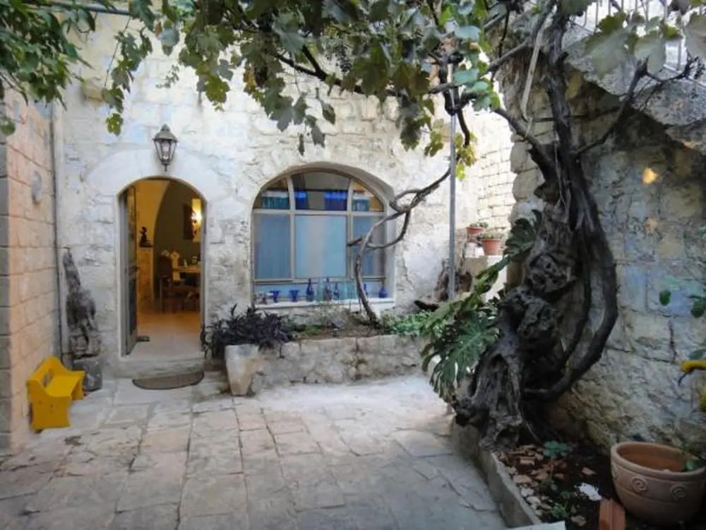 Zimmer Lemon Tree