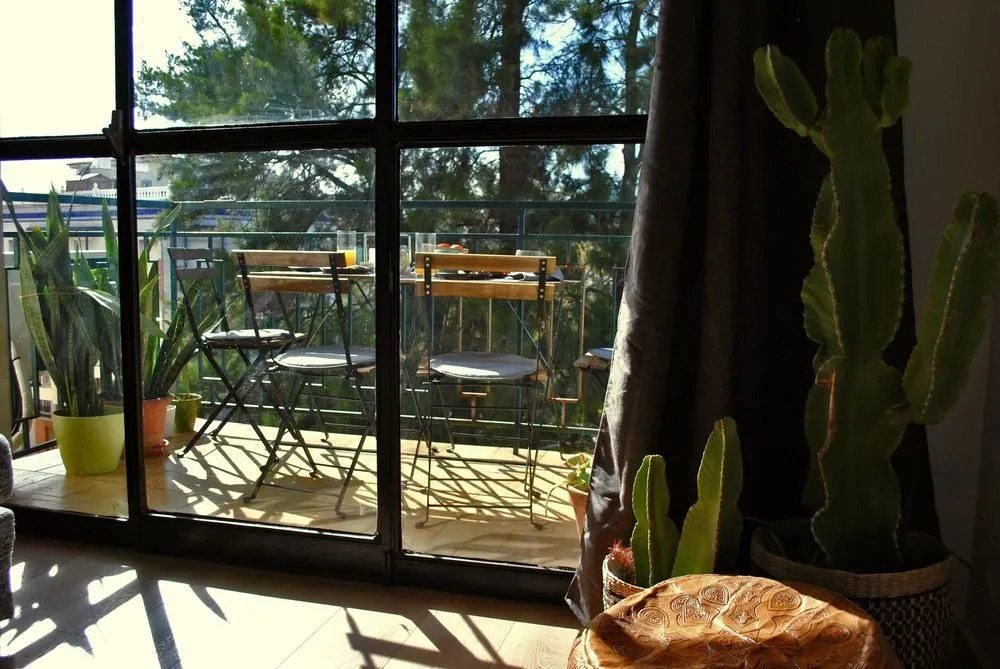The Boho-Chic Oasis