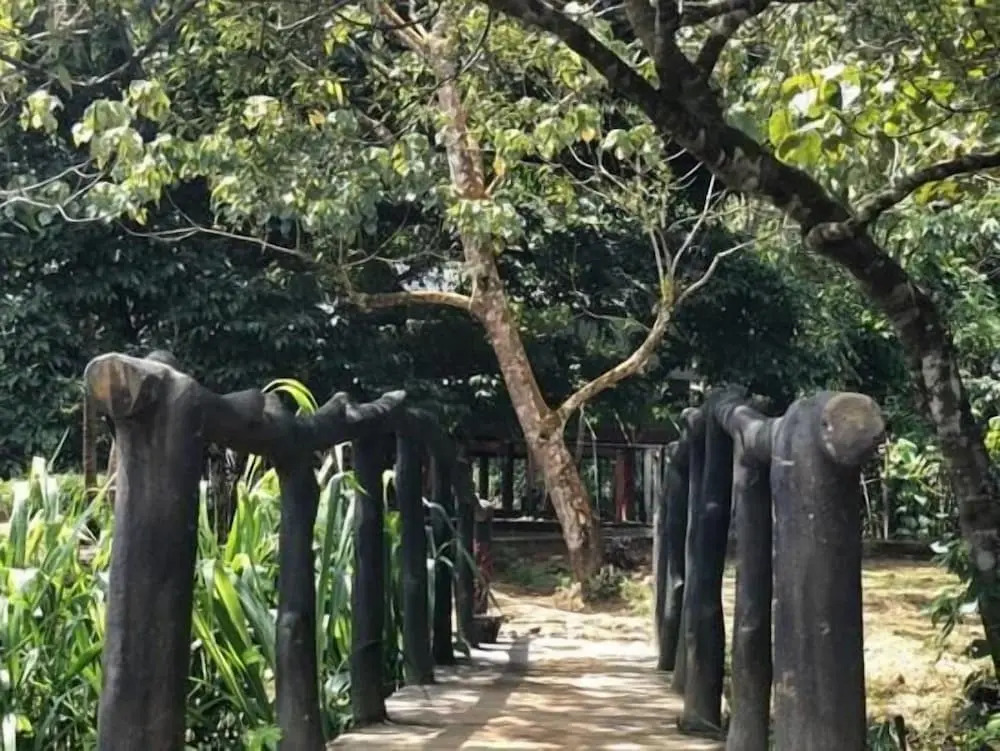 360 Rainforest