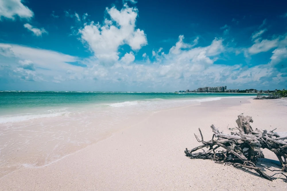 Lido Key Retreat by SKLRP