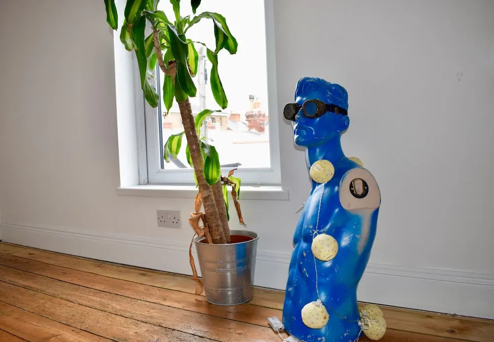 Renovated 2 Bedroom Home in The Liberties