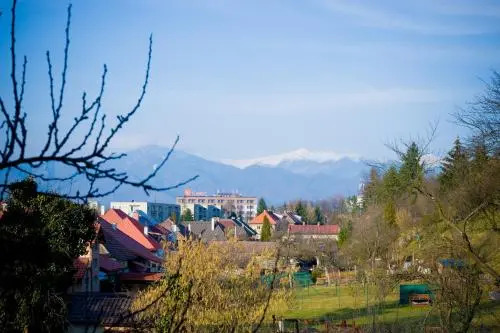 Villa Ľadoveň LUXUSNÝ APARTMÁN 124m2