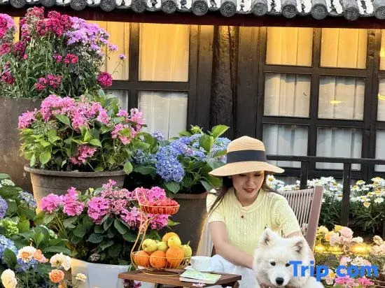 Haitang Bay Resort Pillow Mountain Xigu Snow Mountain View Garden Beauty Villa