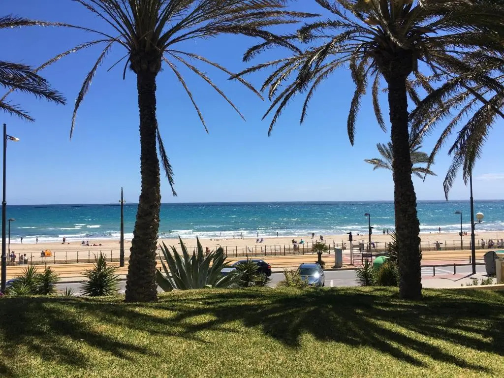 Alicante Plage Muchavista Vu Mer Piscine Wifi Clim