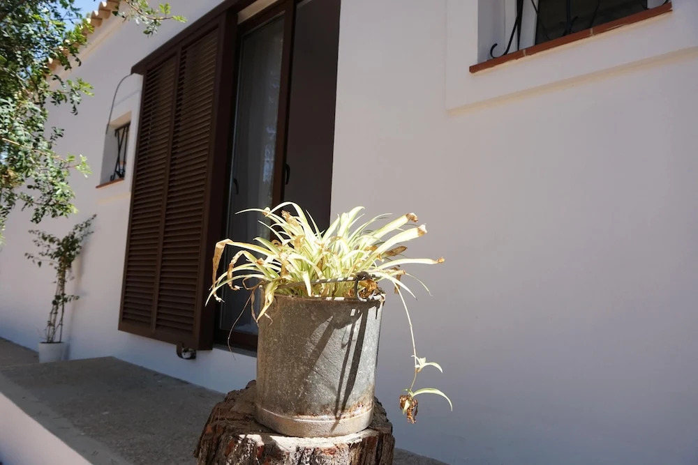 House With 2 Bedrooms in Platja de Migjorn, With Furnished Garden and
