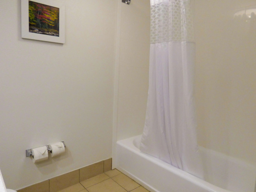 Hampton Inn Charleston-Southridge