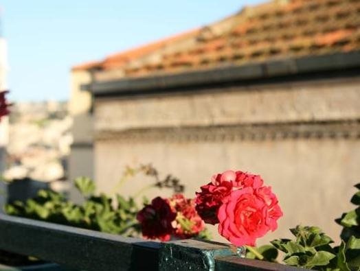 Simsim Guesthouse