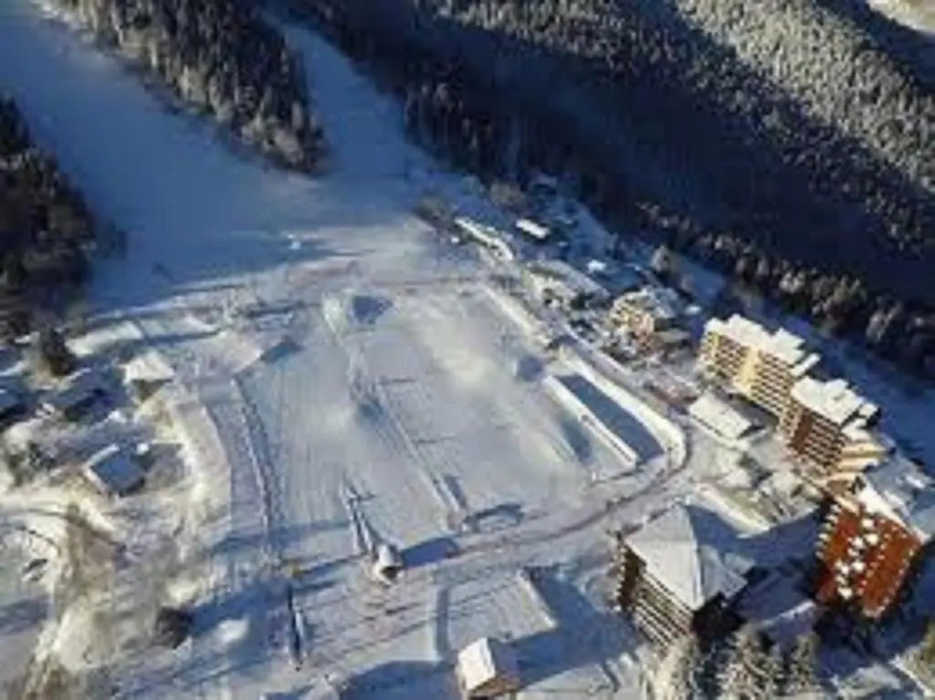 Un Isard au Pied des Pistes