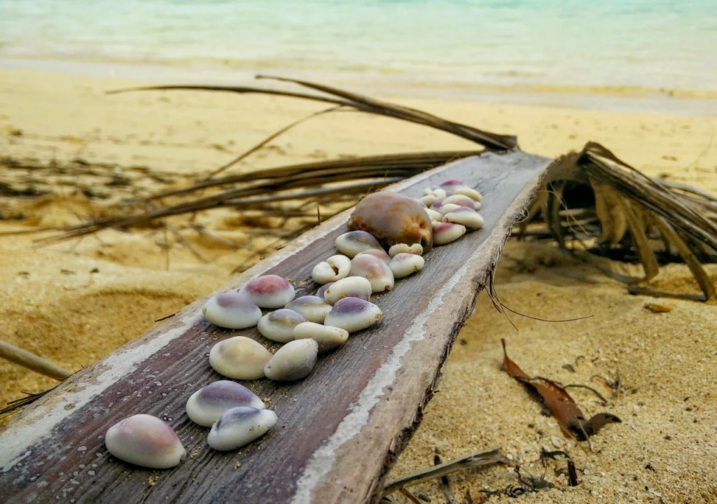 Coralview Island Resort