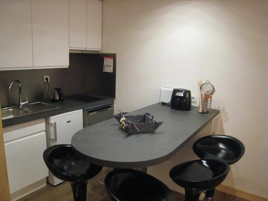 Appartement La Clusaz, 1 pièce, 4 personnes - FR-1-459-62
