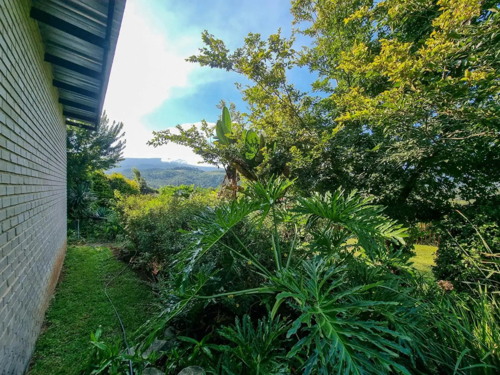 Sabie Peak View