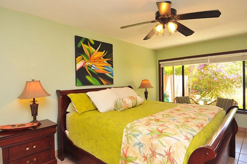 PuaMana 175-2 - 1 Br Condo