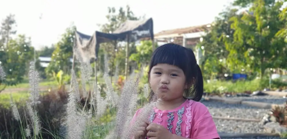 Pans farm แบ่งปันฟาร์ม