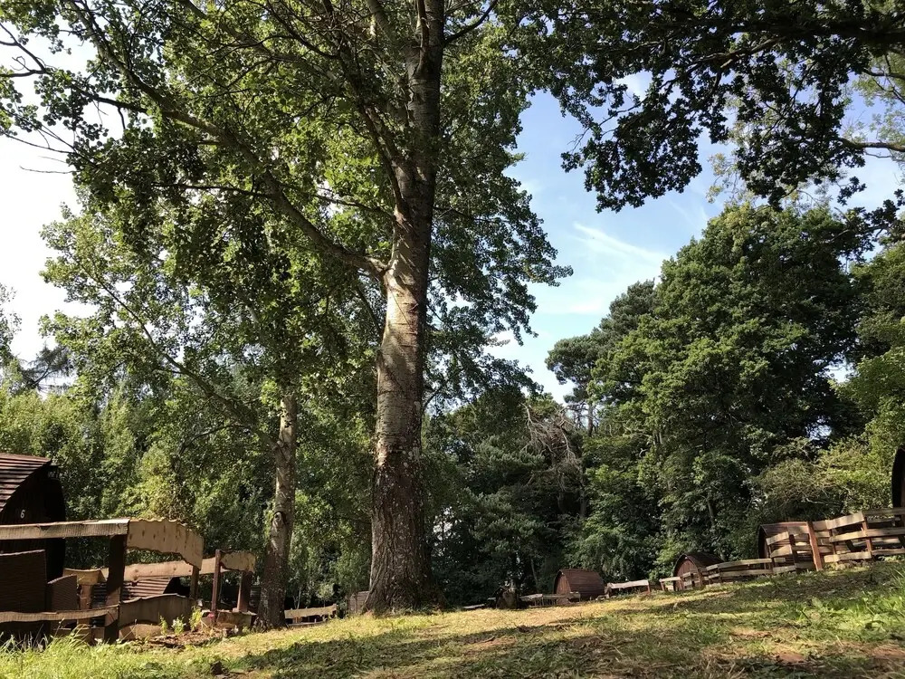 Edinburgh Cabin Camping