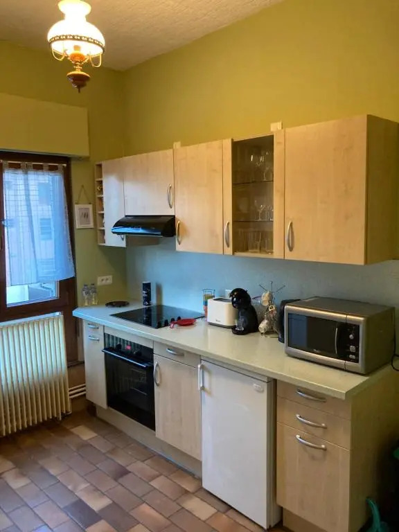 Vaste appartement douillet au cœur de la ville du cristal