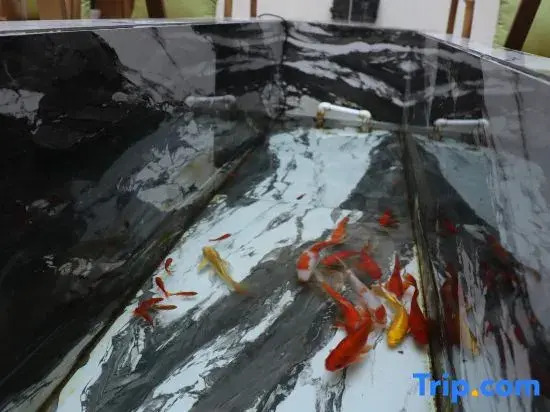 Tar Temple Wangta Mountain Hotel