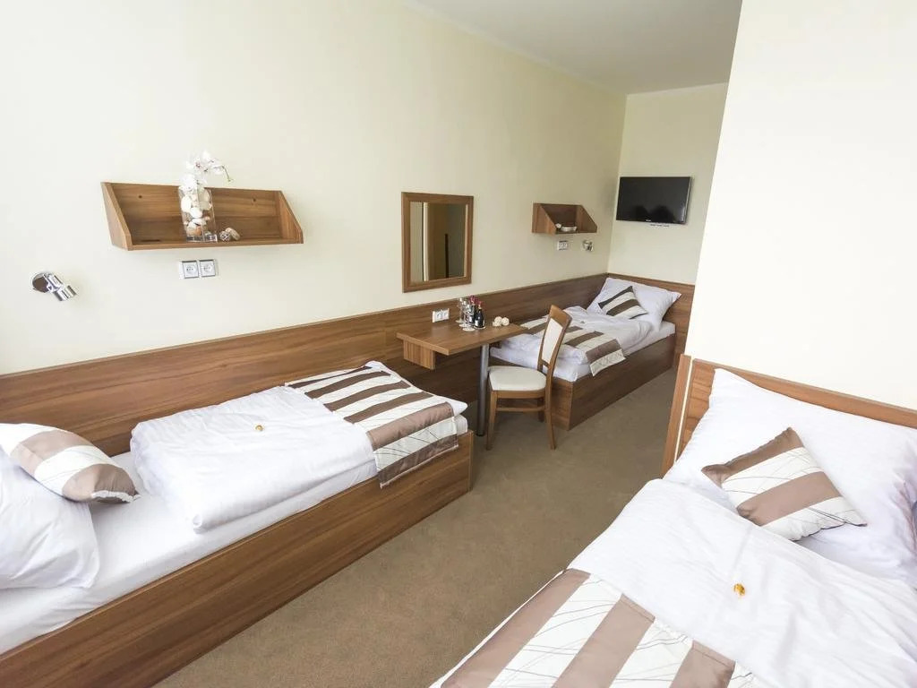 Hotel u Ledu