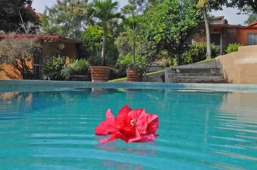 Hotel Bungalows Las Rosas