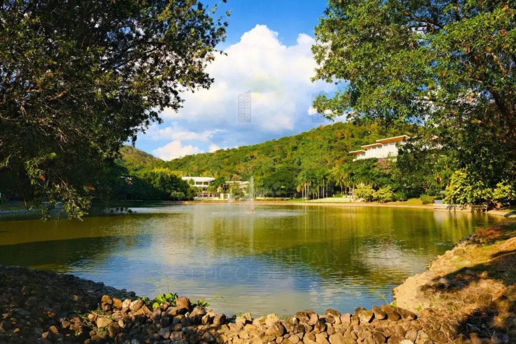 PICO DE LORO Pool Accessible CAROLA 2 Bedroom Units by SEE Condominiums