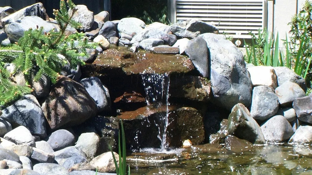Wilderness Inn