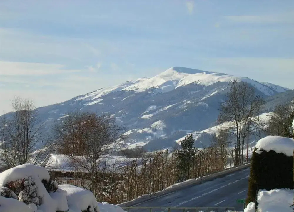 Lovely Apartment in Mittersill near Kitzbühel - Kirchberg