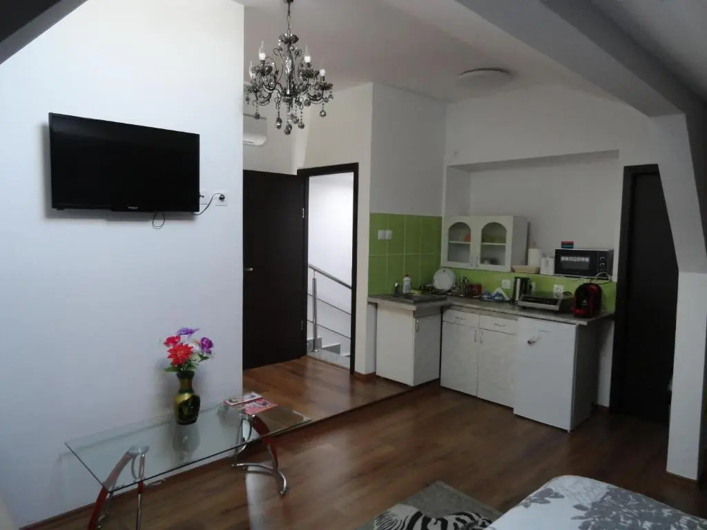 Carmen Studio