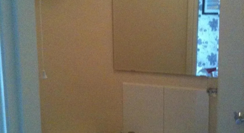 Dusty Miller