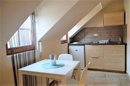 Downtown Apartments with shared kitchen